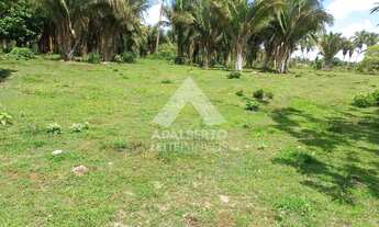 Imagem 7: TERRENO EM ÁREA URBANA À VENDA, FOMENTO, PINHEIRO - MA