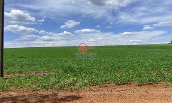 Imagem: Chácara à venda, LINHA VISTA ALEGRE, TOLEDO