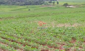 Imagem 7: Rural à venda, ZONA RURAL, TOLEDO - PR