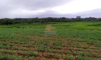 Imagem 4: Rural à venda, ZONA RURAL, TOLEDO - PR