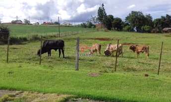 Imagem 2: Chácara à venda, JARDIM SÃO FRANCISCO, OURO VERDE DO OESTE - PR