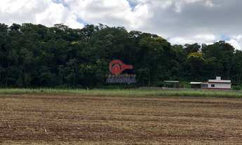 Imagem 4: Chácara à venda, LINHA GAUCHA, SANTA HELENA - PR