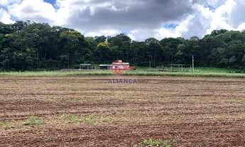 Imagem 3: Chácara à venda, LINHA GAUCHA, SANTA HELENA - PR
