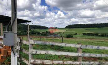 Imagem 6: Chácara à venda, LINHA GAUCHA, SANTA HELENA - PR