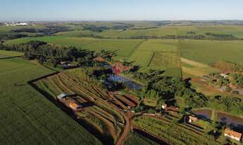 Imagem 3: Chácara à venda, RODOVIA, TOLEDO - PR