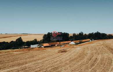 Imagem 3: Chácara à venda, SEDE ALVORADA , TOLEDO - PR