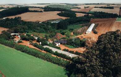 Imagem 3: Propriedade Rural à venda, ZONA RURAL, TOLEDO - PR