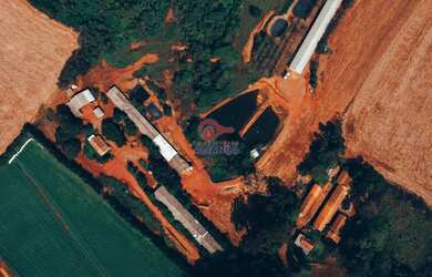 Imagem 4: Propriedade Rural à venda, ZONA RURAL, TOLEDO - PR