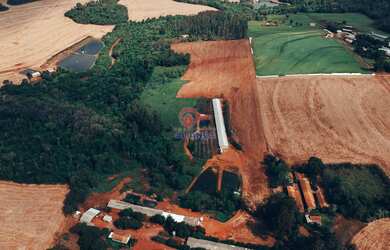Imagem 5: Propriedade Rural à venda, ZONA RURAL, TOLEDO - PR