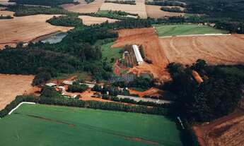 Imagem 6: Propriedade Rural à venda, ZONA RURAL, TOLEDO - PR
