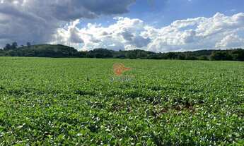 Imagem 2: Área Rural à venda, COLONIA SAO FRANCISCO, SAO PEDRO DO IGUACU - PR