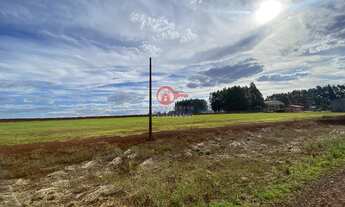 Imagem 5: Chácara à venda, ZONA RURAL, TOLEDO - PR