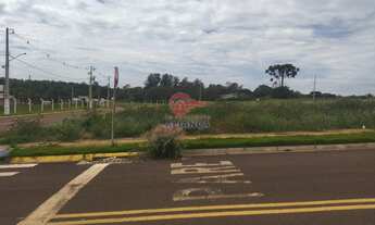 Imagem 1: Terreno à venda, TOCANTINS, TOLEDO - PR