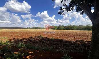 Imagem 7: Chácara à venda, VILA CANDEIA, MARIPA - PR