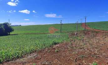 Imagem 3: Chácara à venda, DISTRITO DE CONCORDIA DO OESTE, TOLEDO - PR