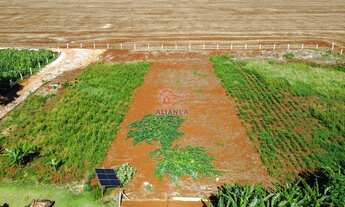 Imagem 4: Chácara à venda, SÃO LUIZ DO OESTE, TOLEDO - PR