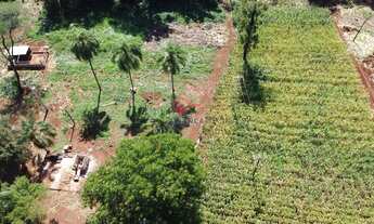 Imagem 4: SÍTIO À VENDA EM TOLEDO - PR