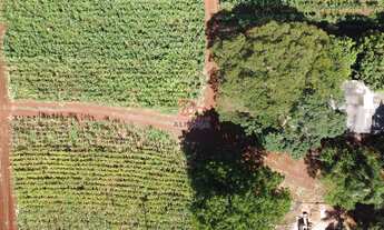 Imagem 2: SÍTIO À VENDA EM TOLEDO - PR