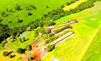 Imagem 5: PROPRIEDADE RURAL LOCALIZADA EM NOVO SOBRADINHO - PROXIMIDADES DO BIOPARK