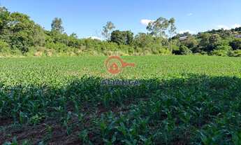 Imagem: Chácara à venda, ZONA RURAL DISTRITO DE