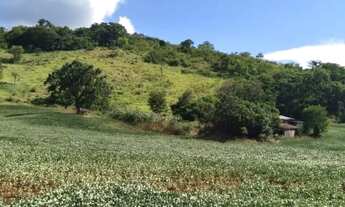Imagem: CHACARA COM 8 ALQUEIRES EM TRES BARRAS DO