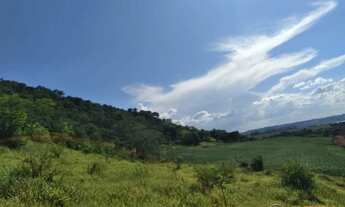 Imagem 2: CHACARA COM 8 ALQUEIRES EM TRES BARRAS DO PARANA