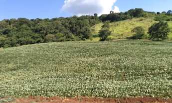 Imagem 3: CHACARA COM 8 ALQUEIRES EM TRES BARRAS DO PARANA