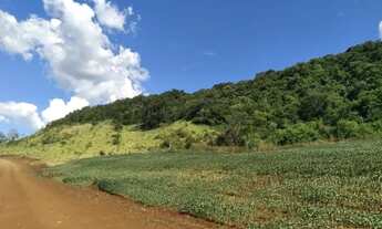 Imagem 4: CHACARA COM 8 ALQUEIRES EM TRES BARRAS DO PARANA