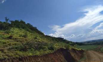 Imagem 5: CHACARA COM 8 ALQUEIRES EM TRES BARRAS DO PARANA