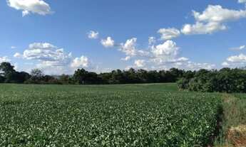 Imagem 6: CHACARA COM 8 ALQUEIRES EM TRES BARRAS DO PARANA
