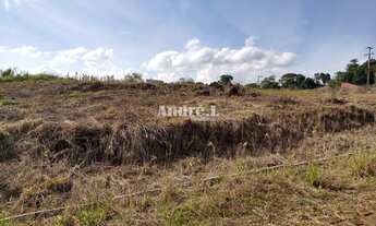 Imagem 5: EXCELENTE TERRENO NO LOTEAMENTO LEÃO