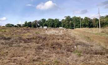 Imagem 3: EXCELENTE TERRENO NO LOTEAMENTO LEÃO