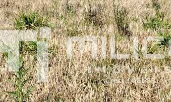 Imagem 3: TERRENO DE ESQUINA EXCELENTE PARA CONSTRUÇÃO DE SOBRADOS