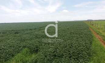 Imagem 3: Areá Rural com 34,00 ha, Ótima localização