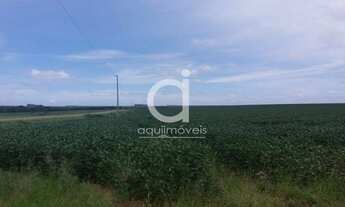 Imagem 4: Areá Rural com 34,00 ha, Ótima localização