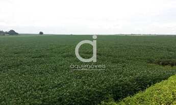 Imagem: Areá Rural com 34,00 ha, Ótima localização