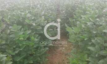 Imagem 2: Areá Rural com 34,00 ha, Ótima localização