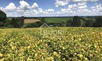 Imagem: ÁREA PRONTA PARA PLANTIO