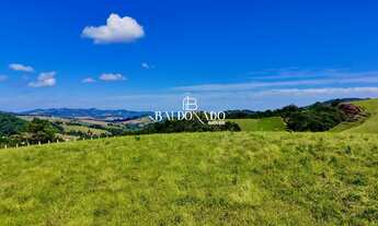 Imagem 3: TERRENOS EM TOLEDO MG 9.050 M² a 10.776 M² CHACARA CHALES