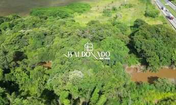 Imagem 6: ÁREA EM VARGEM SP À VENDA 32.800M² PRÓXIMO A FERNÃO DIAS