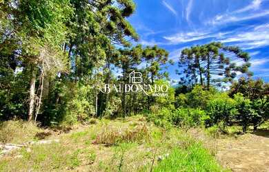 Imagem 2: CHÁCARA EM MUNHOZ MG À VENDA 12000m mina de água e nascente