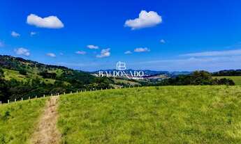 Imagem 5: TERRENOS EM TOLEDO MG 9.050 M² a 10.776 M² CHACARA CHALES