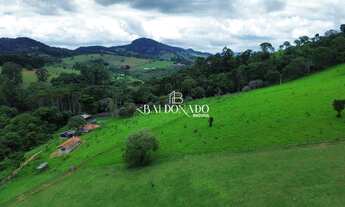 Imagem 2: SÍTIO À VENDA MUNHOZ MG COM ESCRITURA 13 ALQUEIRES OPORTUNIDADE