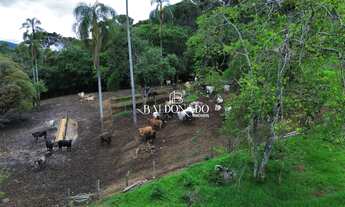 Imagem 3: SÍTIO À VENDA MUNHOZ MG COM ESCRITURA 13 ALQUEIRES OPORTUNIDADE