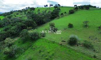 Imagem 6: SÍTIO À VENDA MUNHOZ MG COM ESCRITURA 13 ALQUEIRES OPORTUNIDADE