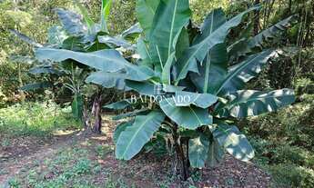 Imagem 7: CHÁCARA À VENDA PEDRA BELA SP COM ESCRITURA 5.600 m PISCINA 3 QUARTOS