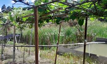 Imagem 7: CHÁCARA À VENDA CAMANDUCAIA MG Com Escritura 12.000 m POMAR