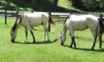 Imagem 5: HARAS À VENDA EM ATIBAIA ÁREA URBANA COM ESCRITURA 64.000 m