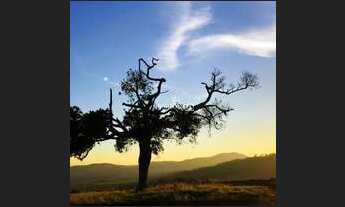 Imagem 7: Terreno em condomínio fechado em PIRACAIA - SP pronto para construir