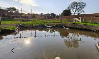 Imagem 4: Chácara à Venda Toledo MG 8.622 m com Escritura, Tanque de peixes, Água de mina